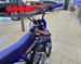 APOLLINO RXF ROOKIE 125