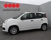 FIAT PANDA 1,2 8V