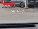 TOYOTA COROLLA 1.5 VVT-IW AT