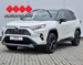 TOYOTA RAV4 2.5 HSD HYBRID