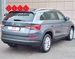 ŠKODA KODIAQ 2.0 TDI 4X4