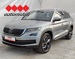 ŠKODA KODIAQ 2,0 TDI DSG