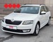 ŠKODA OCTAVIA 1.6 TDI AMBITION 4X4