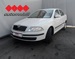 ŠKODA 1,9 TDI 1,9 TDI