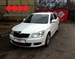 ŠKODA 1,9 TDI 1,9 TDI
