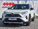 TOYOTA RAV 4 2.5 HSD AWD STYLE